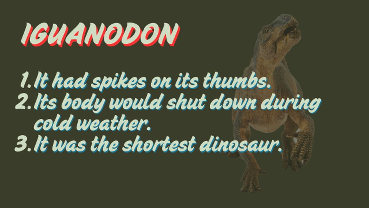 Amazing Animals: Dinosaur Edition image number null